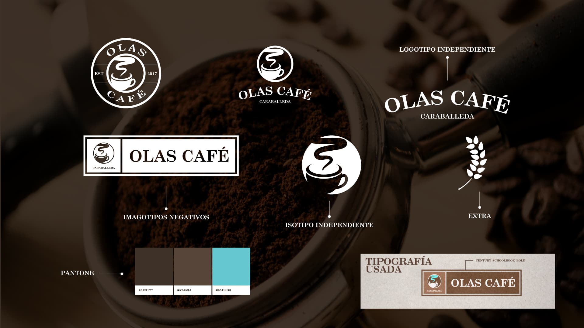 02_OLAS_CAFE